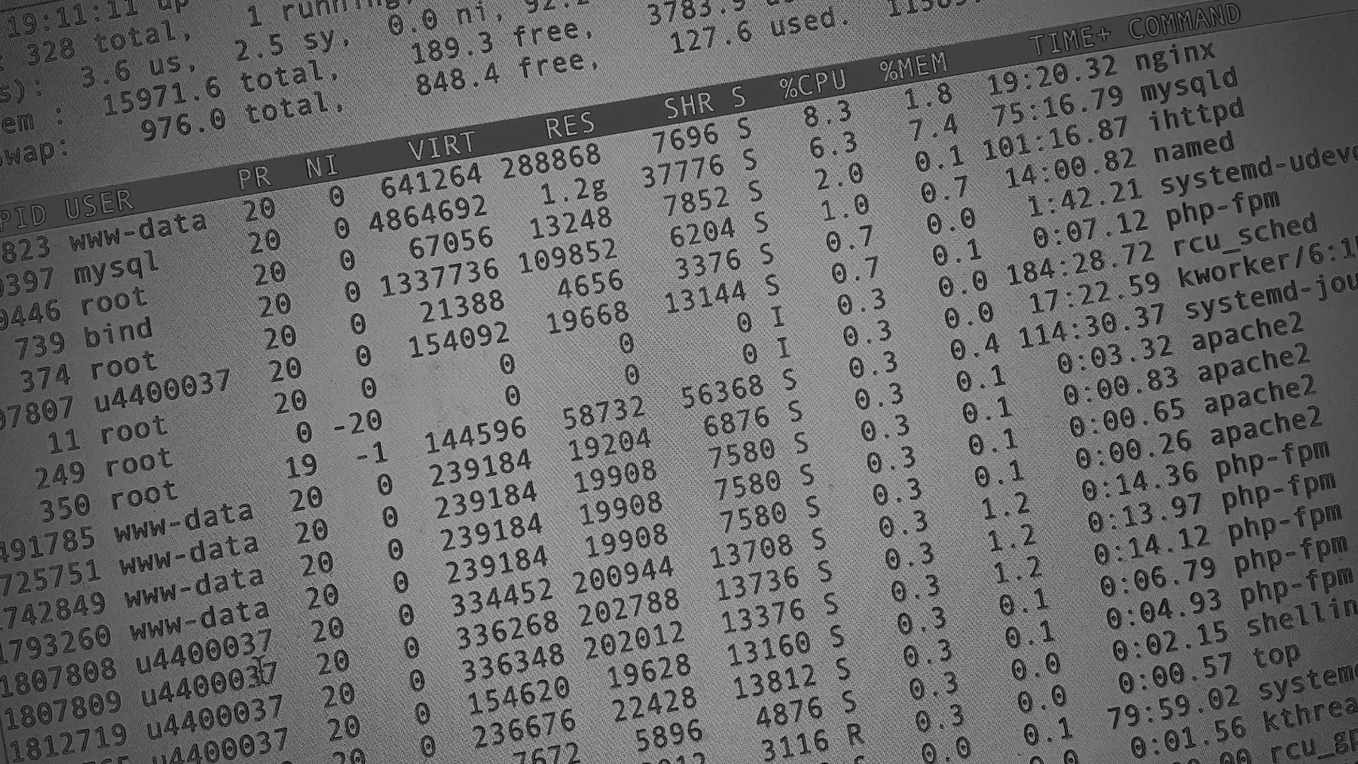 Настройка сервера в Болгаре